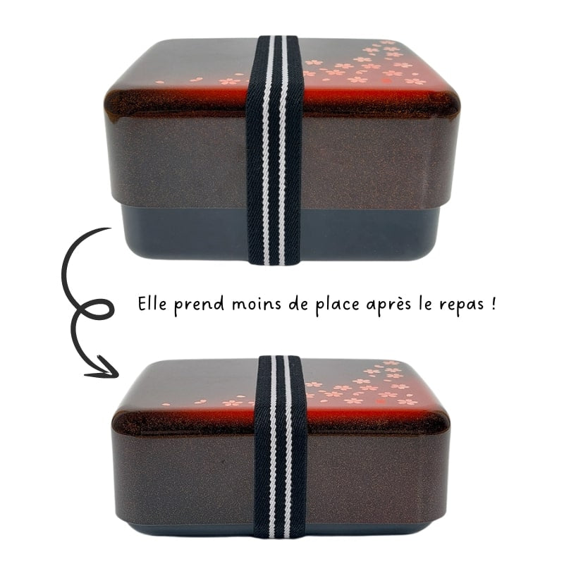 Blossom japanilainen Bento laatikko