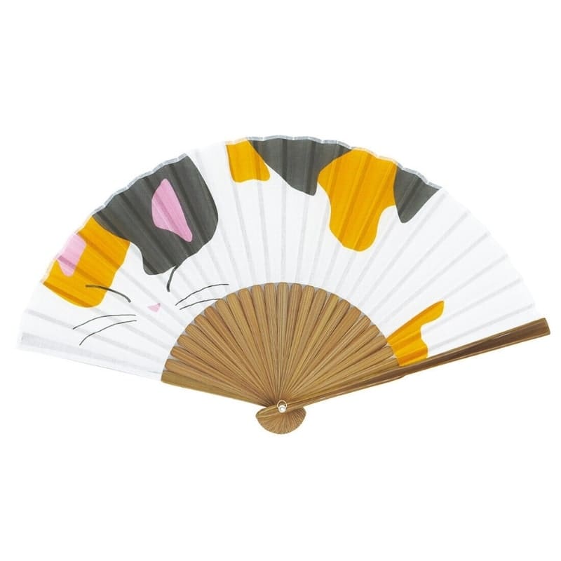 Japanilaiset fanit Neko Mike