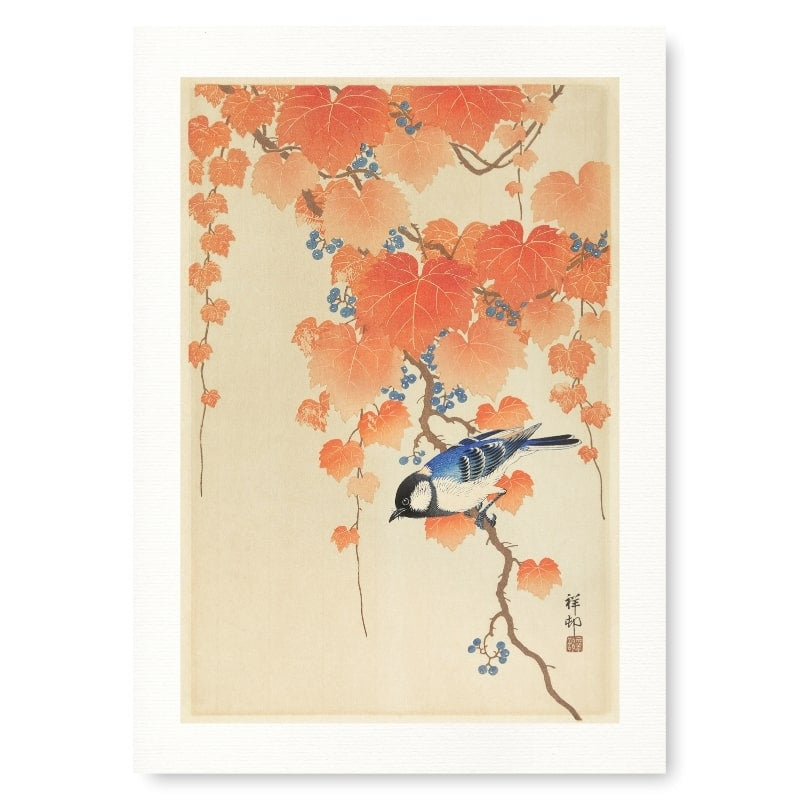 Japanilainen kanahaukka tulosta - A3