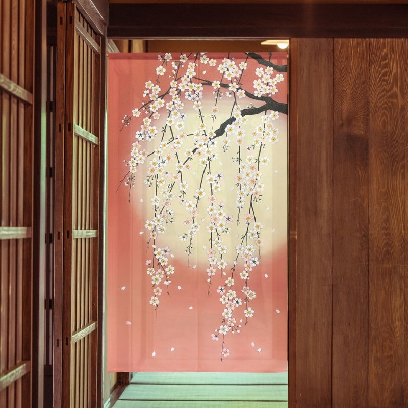 Japanilainen Noren kirsikankukka