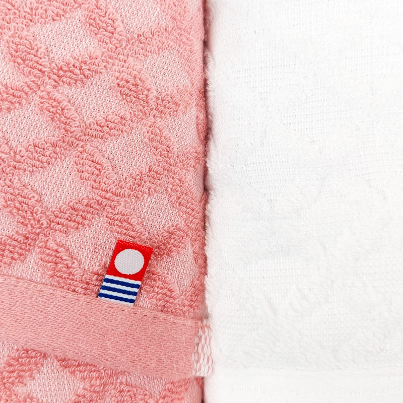 Japanilainen pyyhesetti