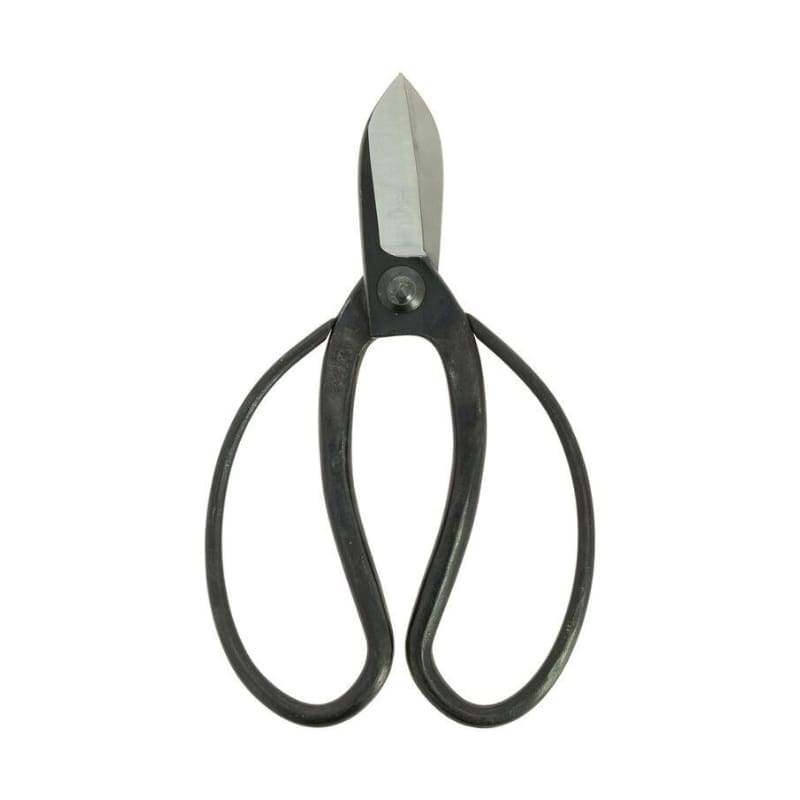 Koryu Japanilaiset Ikebana-sakset