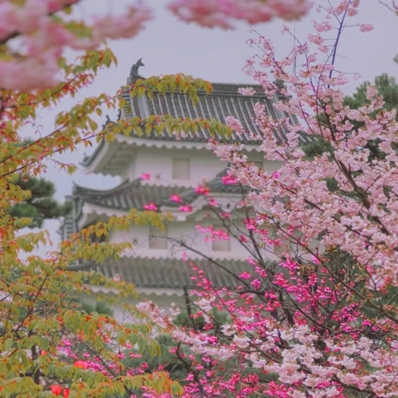 Japanilainen pienoismalli - Takamatsun linna