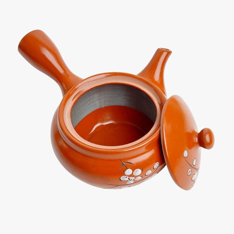 Punainen Kyusu japanilainen teekannu