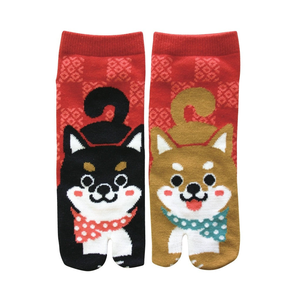 Tabi Shiba Inu sukat