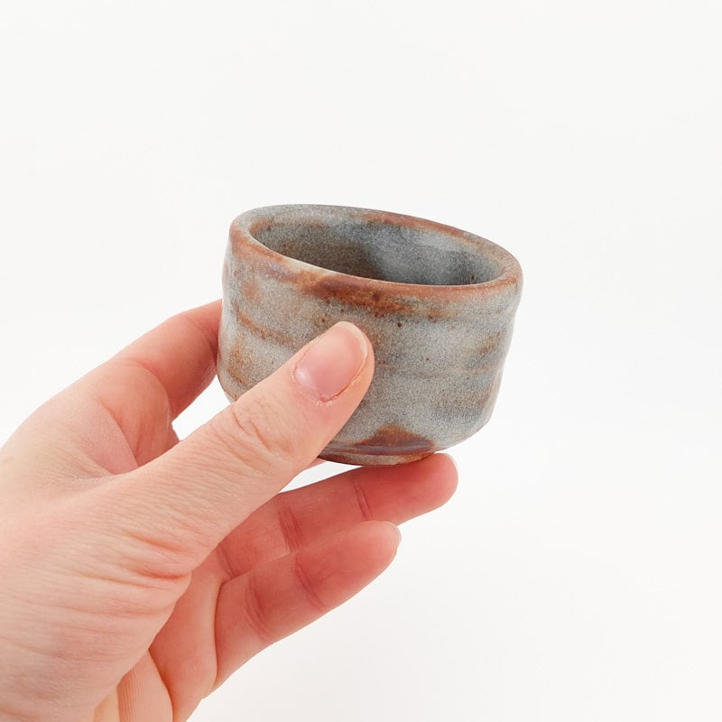 Haiiro Japanilainen Sake lasi