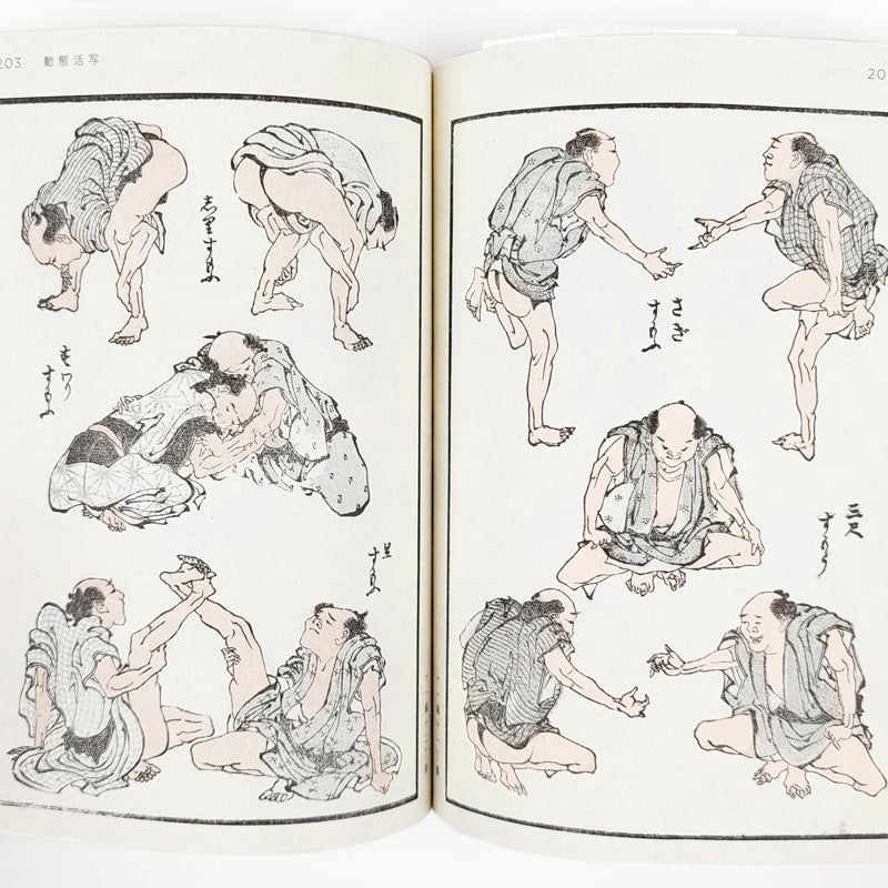 Hokusai Manga Taidekirja Box Set