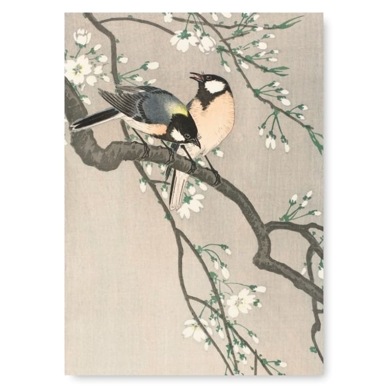 Japanilaisen kirsikkapuun oksa - A3