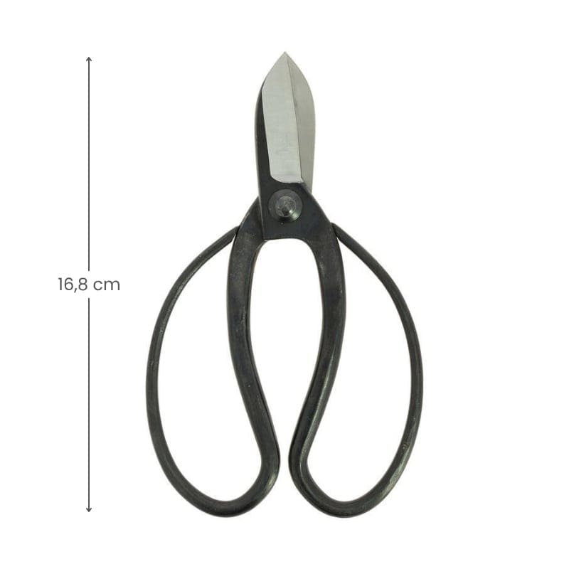 Koryu Japanilaiset Ikebana-sakset