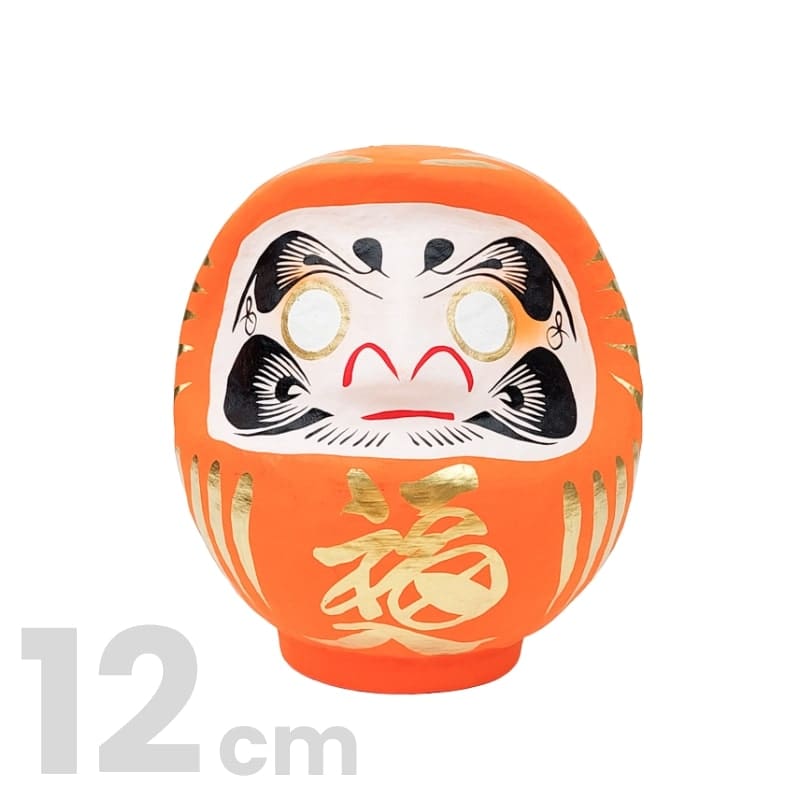 Daruma Japanilainen appelsiini - 9-15 cm - 12 cm
