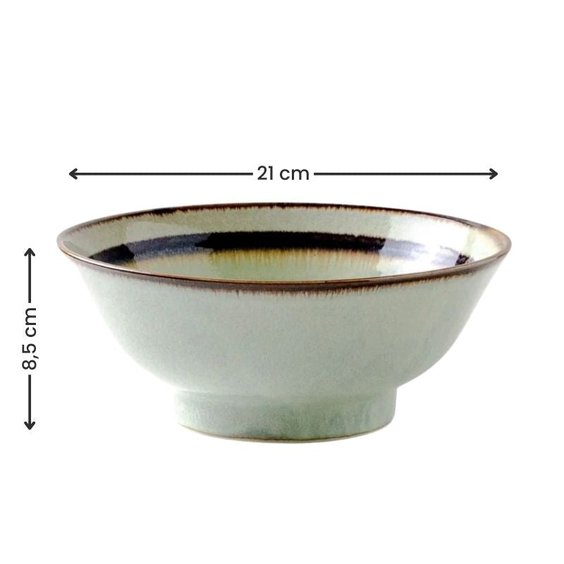 Wasabi japanilainen Ramen Bowl